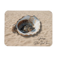 Greetings from Hilton Head Island Sea Turtle