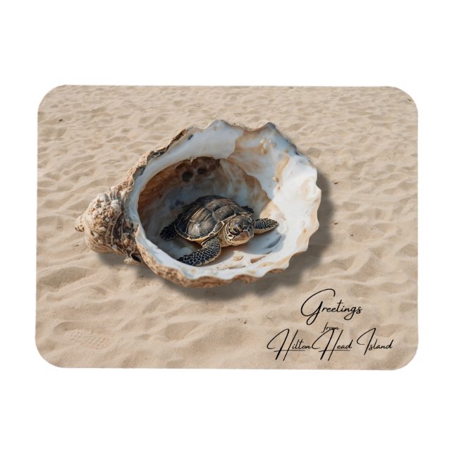 Greetings from Hilton Head Island Sea Turtle Magnet (Horizontal)