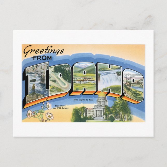 Greetings from Idaho! Postcard (Front)