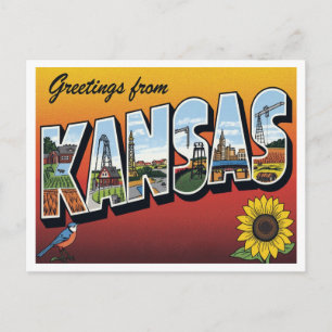 Greetings from Kansas Sunflower Postcard