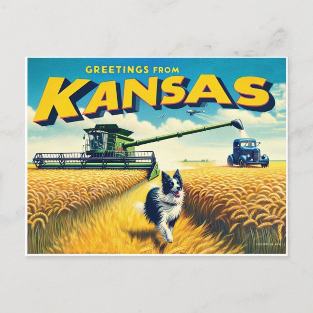 Greetings From Kansas Wheat Combine Border Collie Postcard (Front)