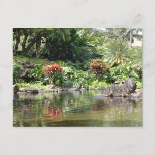 Greetings From Kauai Postcard