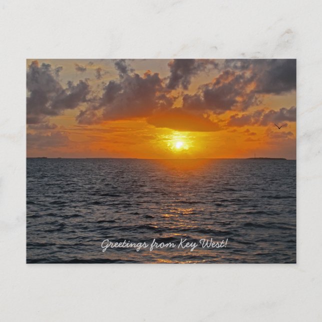 Greetings from Key West postcard (Front)