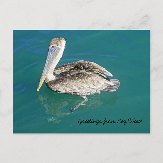 Greetings from Key West postcard (Front)