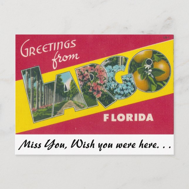 Greetings from Largo, Florida Postcard (Front)