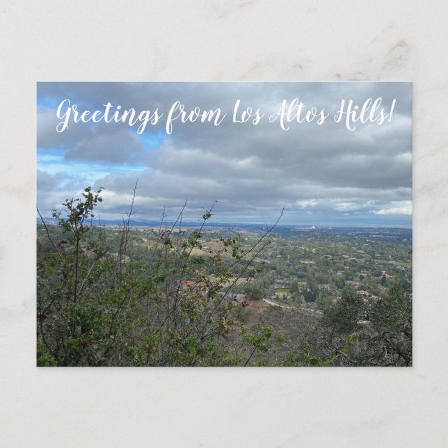 Greetings from Los Altos Hills! Postcard (Front)