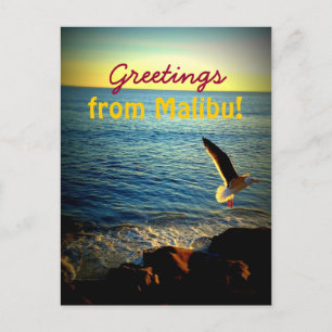 Greetings from Malibu! Postcard