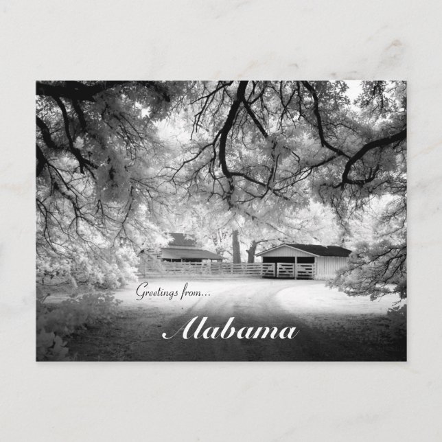 Greetings From Monroeville Alabama USA Design Postcard (Front)