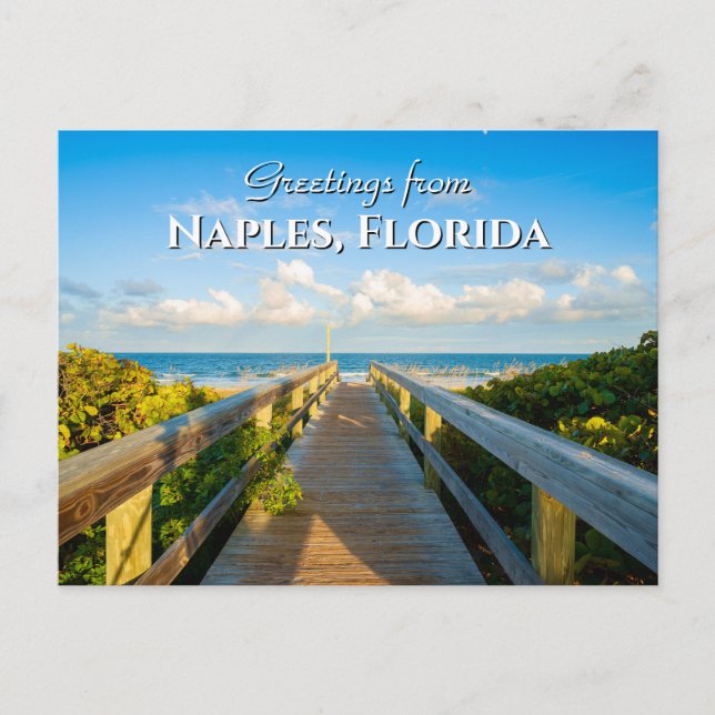 Greetings from Naples Florida Beach Postcard (Front)