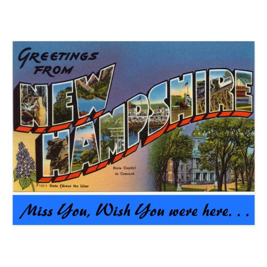 Greetings from New Hampshire Postcard