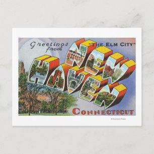 Greetings From New Haven, CT Postcard