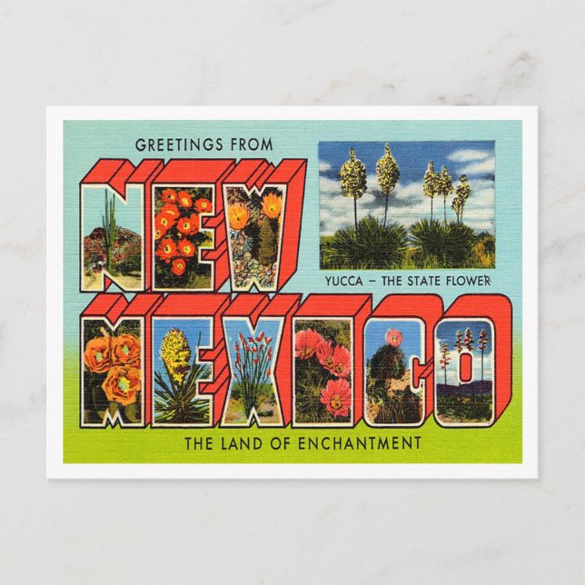 Greetings from New Mexico Vintage Travel Postcard (Front)