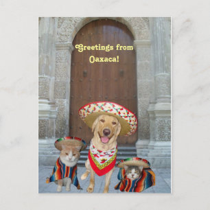 Greetings from Oaxaca Postcard