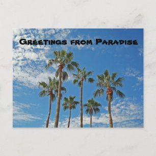 Greetings from Paradise Palm Trees Blue Sky Island Postcard