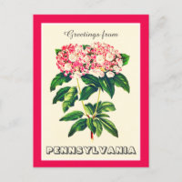 Greetings from Pennsylvania Mountain Laurel