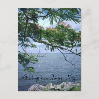 Greetings from Queens Postcard