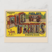 Greetings from Santa Cruz Large Letter Postcard