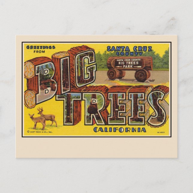 Greetings from Santa Cruz Large Letter Postcard (Front)