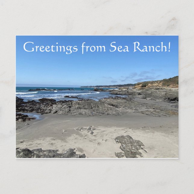 Greetings from Sea Ranch! Postcard (Front)