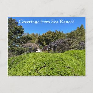 Greetings from Sea Ranch! Postcard