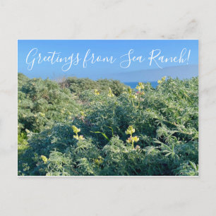 Greetings from Sea Ranch! Postcard
