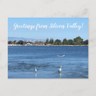 Greetings from Silicon Valley! Postcard