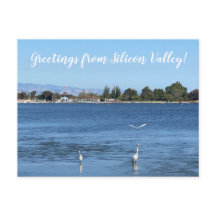 Greetings from Silicon Valley!