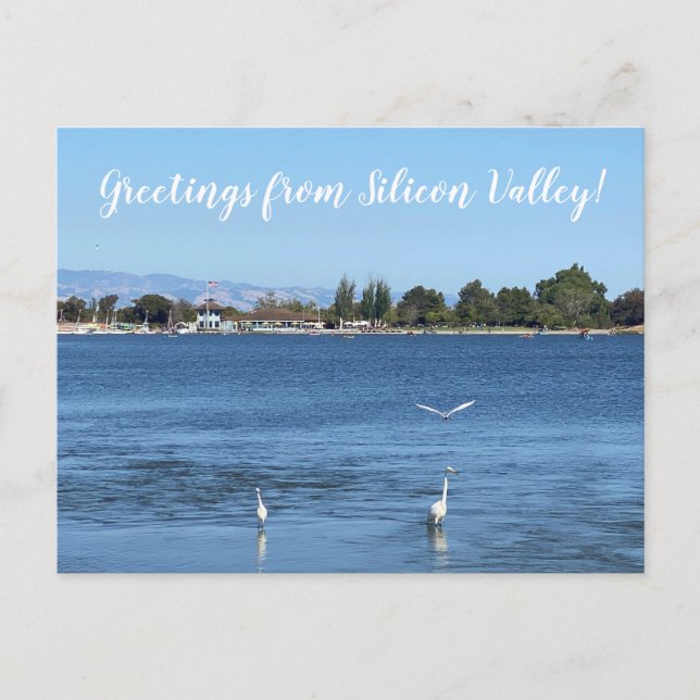 Greetings from Silicon Valley! Postcard (Front)