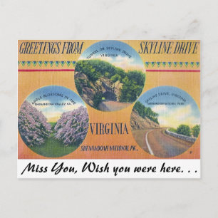 Greetings from Skyline Drive, Virginia Postcard
