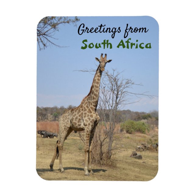 Greetings From South Africa Magnet (Vertical)