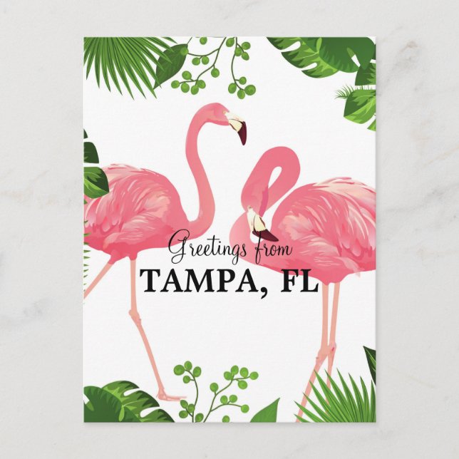 Greetings from Tampa, FL Postcard (Front)
