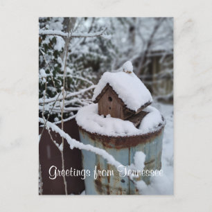 GREETINGS FROM TENNESSEE winter birdhouse photo   Postcard