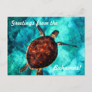 Greetings from the Bahamas Postcard
