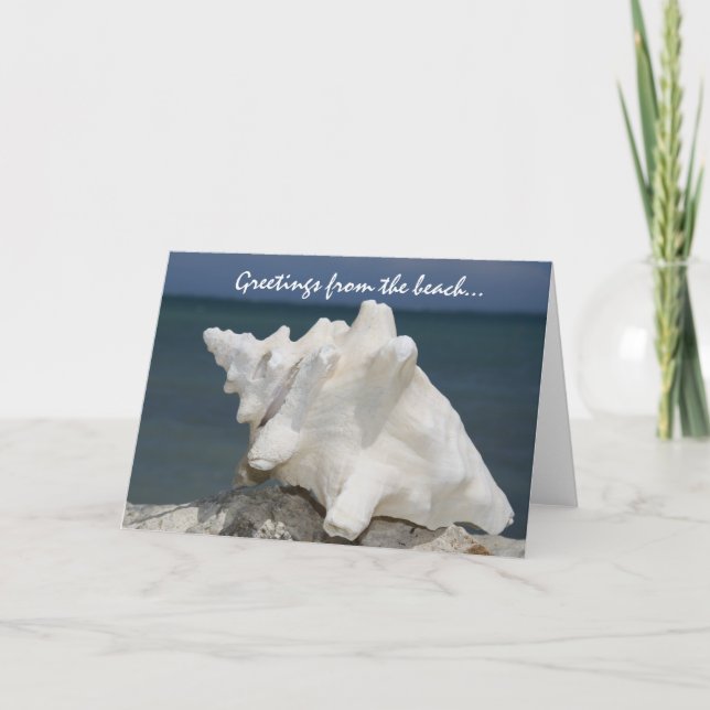 Greetings from the Beach Conch Shell Card (Front)