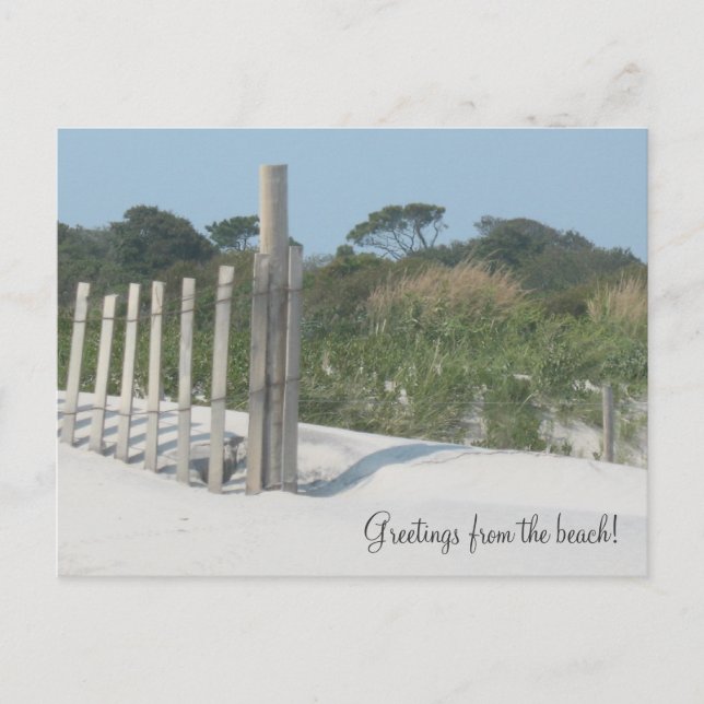 Greetings from the beach! postcard (Front)