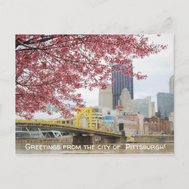 Greetings from the city of Pittsburgh! Postcard (Front)