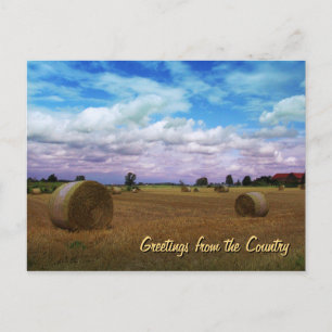 Greetings from the Country Postcard