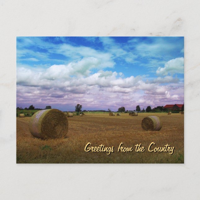 Greetings from the Country Postcard (Front)