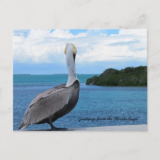 Greetings from the Florida Keys postcard (Front)