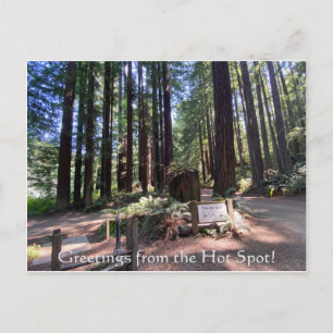 Greetings from the Hot Hot Spot! Postcard