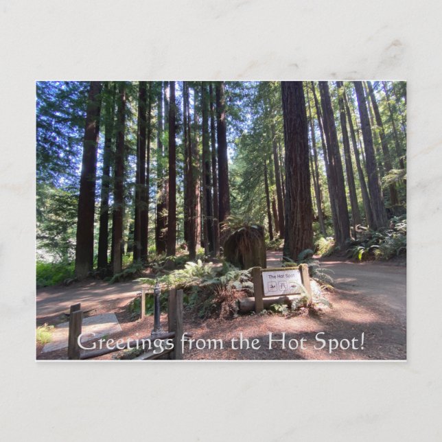 Greetings from the Hot Hot Spot! Postcard (Front)