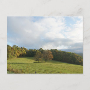 Greetings from the NC Blue Ridge Mountains! Postcard