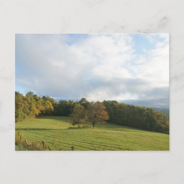 Greetings from the NC Blue Ridge Mountains!  Postcard (Front)
