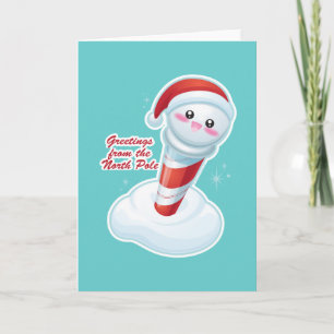 Greetings from the North Pole Holiday Card
