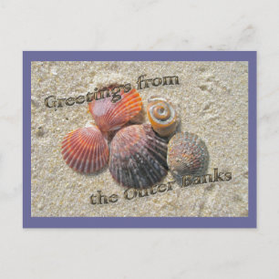 Greetings from the Outer Banks Seashells Postcard