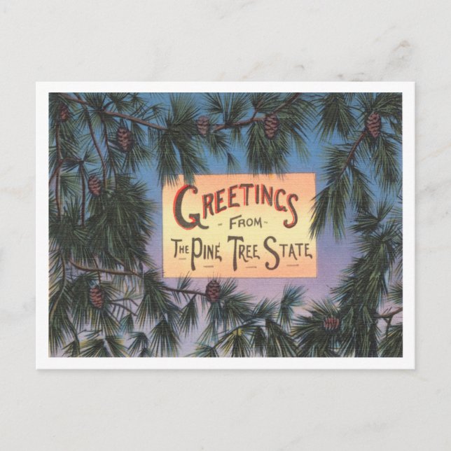 Greetings from the Pine Tree State, Maine Travel Postcard (Front)