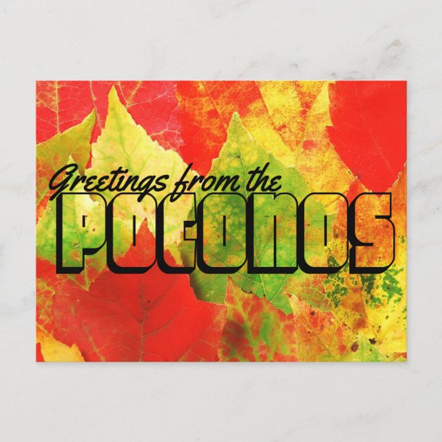 Greetings from the Poconos Colourful Leaves Postcard (Front)