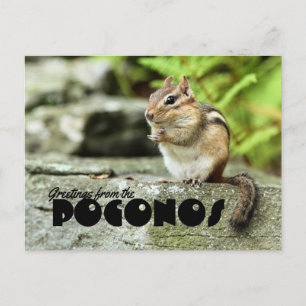 Greetings from the Poconos Mischievous Chipmunk Postcard