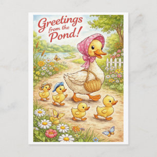 Greetings from the pond! Postcard