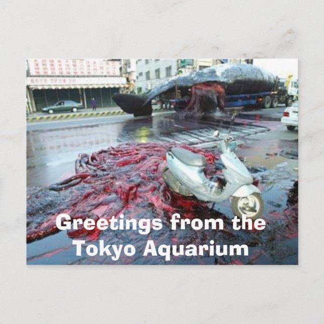 Greetings from the Tokyo Aquarium Postcard (Front)